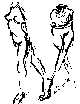 two standing